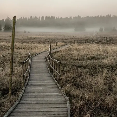 Berg Klinovec * Loučná pod Klínovcem