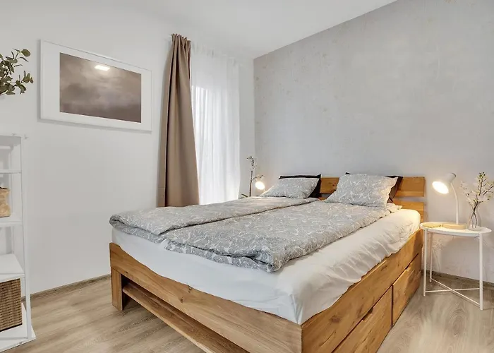 Daire Berg Klinovec *