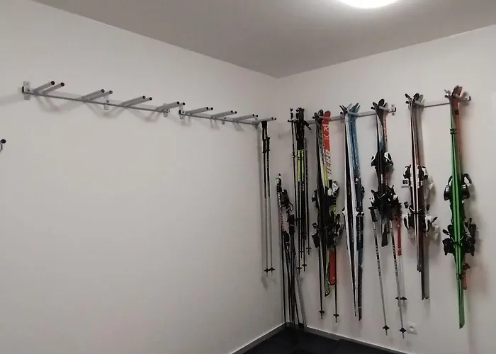 Berg Klinovec Daire *