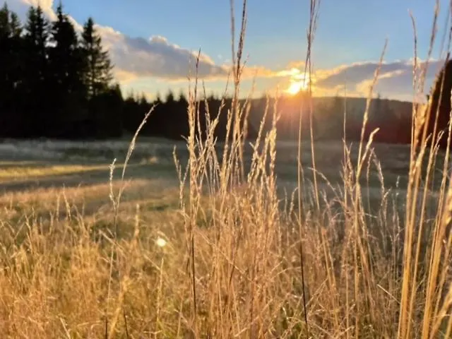 Berg Klinovec * Loučná pod Klínovcem